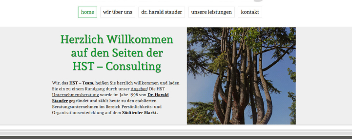 HST Consulting des Harald Stauder